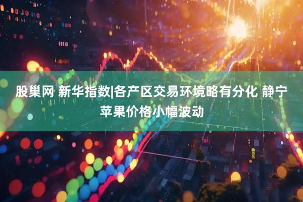 股巢网 新华指数|各产区交易环境略有分化 静宁苹果价格小幅波动