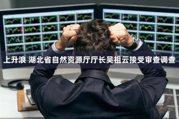 上升浪 湖北省自然资源厅厅长吴祖云接受审查调查