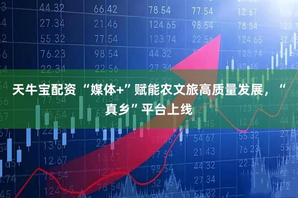 天牛宝配资 “媒体+”赋能农文旅高质量发展，“真乡”平台上线