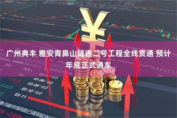 广州典丰 雅安青鼻山隧道二号工程全线贯通 预计年底正式通车