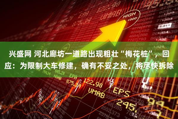 兴盛网 河北廊坊一道路出现粗壮“梅花桩”，回应：为限制大车修建，确有不妥之处，将尽快拆除
